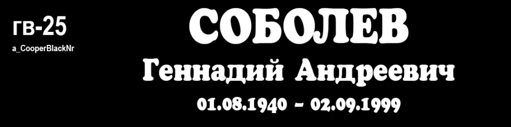 гв-25.jpg
